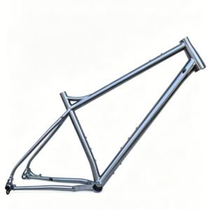 Titanium MTB