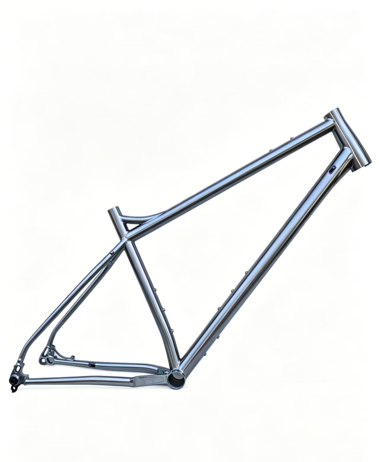 Titanium MTB